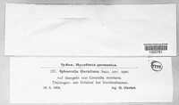 Mycosphaerella oerteliana image